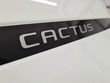 CITROEN C4 CACTUS PureTech 130 Shine Limited Automaatti, vm. 2020, 26 tkm (18 / 18)